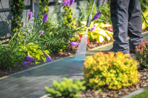 Best Fence Cleaning  in Morganville, NJ